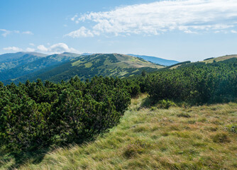 view from ridge of Low Tatras mountains, hiking trail with mountain meadow, scrub pine and grassy green hills and slopes. Slovakia, summer sunny day, blue sky background