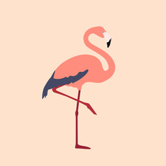 Pink flamingo. Bird. Colorful vector illustration in flat style
