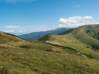 Grassy green hills and slopes at ridge of Low Tatras mountains with hiking trail footpath, mountain meadow, and pine scrub, Slovakia, summer sunny day, blue sky background