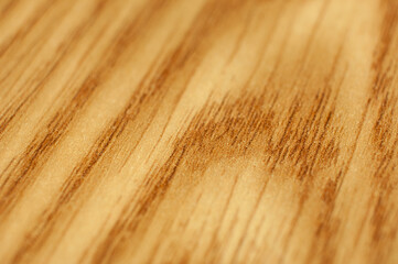 Lanty oak wood texture