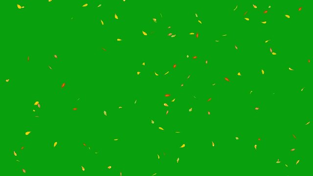 Falling oak leaves green screen motion graphics