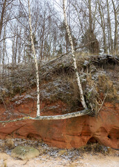 Sea cliff with Devonian sandstone outcrops. During the storm, niches and caves were washed away in the sandstones, sandstone columns were formed