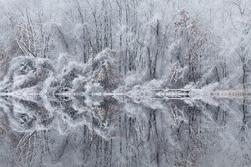 Winter landscape of the snow flocked shoreline of Jackson Hole Lake with mirrored reflections in calm water, Fort Custer State Park, Michigan, USA