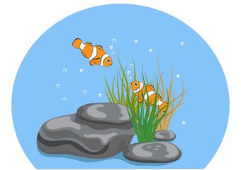 Vector illustration of Cute clown fish cartoon