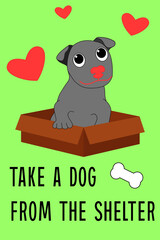 Take the dog from the shelter. Vector illustration dog in a box, little cute puppy bull terrier ask to take him home. 