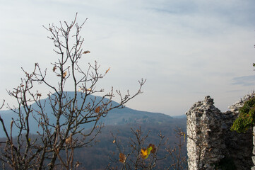 Naked tree on autumn mountain background
