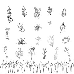 Vegetable set for your design. Isolated on a white background. Stock vector illustration. Black and white graphics. Minimalism. Hand drawn