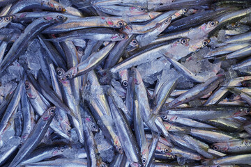Obraz premium Fischmarkt