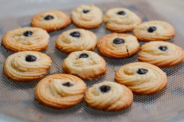 A closeup of Pakistani biscuits cookies.