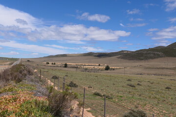 Bewässerungssysteme bei Joubertina. Dürre in Südafrika. Viele Stauseen sind ausgetrocknet. Sogar sukkulente Pflanzen vertrocknen.