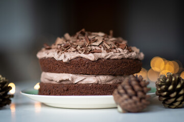 chocolate cake on a white plate