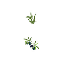 olive icon vector illustration design template
