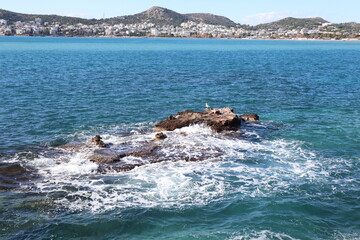 Fototapeta premium Waves splashing on the rocks in the sea while a seagull is sitting on the rocks relaxed. 