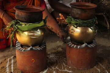 celebrating Traditional Thai Pongal festival to sun god with pot, lamp,wood fire stove, fruits and sugarcane. Making Sakkarai / sugar pongal and ven pongal in sand stove in traditional method.
