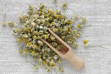 Chamomile dried flower tea in a white bowl on linen textile with blossoms and buds nearby, closeup,...