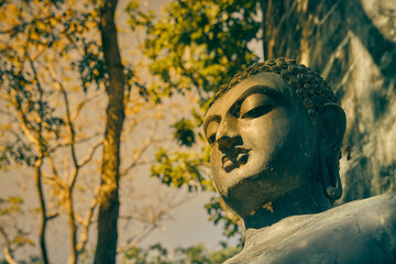 Fototapeta na wymiar Phayao, Thailand - Nov 29, 2020: Low Angle Headshot Buddha Statue on Right Frame in Wat Analayo Thai Temple in Vintage Tone