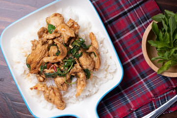 Stir-fried chicken with basil, popular Thai food