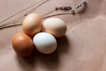 Closeup of Natural organic eggs  with different shades against background