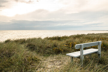 Bench at the beach