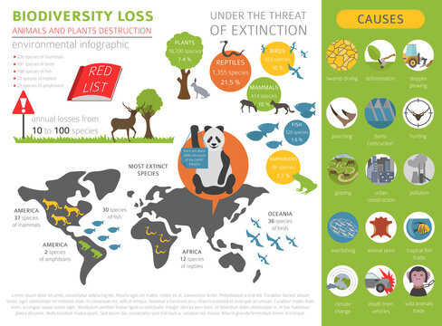 Global environmental problems. Biodiversiry loss infographic. Plants and animals destruction. Vector illustration