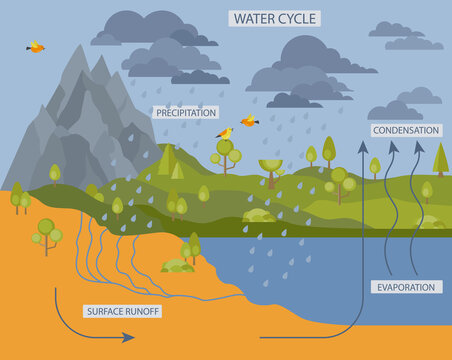 Water cycle. Geography, ecology infographic design. Vector illustration