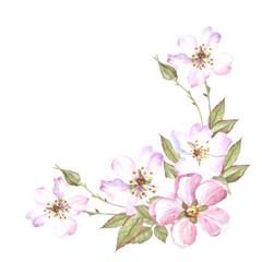 watercolor cherry blossom