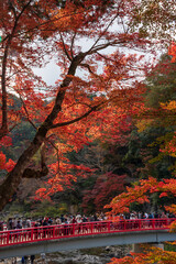 コロナ禍　紅葉の香嵐渓