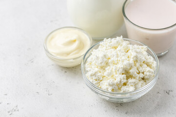 Cottage cheese and various dairy products. Copy space.