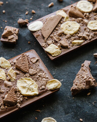 Handmade chocolate with pieces of freeze-dried fruit, banana and dry ice cream
