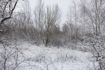 Snowy landscape pictures from Malmö Skåne Sweden