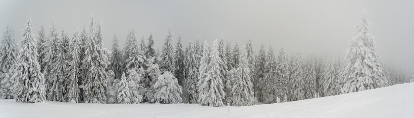 Herzogenhorn im Schwarzwald