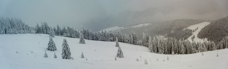 Herzogenhorn im Schwarzwald