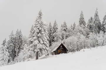 Herzogenhorn im Schwarzwald