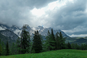Fototapeta na wymiar An Alpine valley in Austria in the region of Dachstein, lush green meadow. High mountain around, partially covered with snow. Stony and sharp mountains. Overcast. Dense forest at the foothill.
