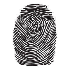 Realistic fingerprint isolated on a white background.