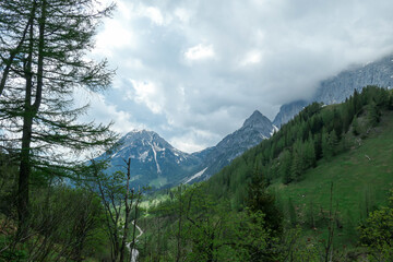 An Alpine valley in Austria in the region of Dachstein, lush green meadow. High mountain around, partially covered with snow. Stony and sharp mountains. Overcast. Dense forest at the foothill.