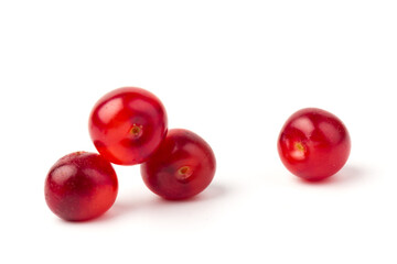 Nanking or felted cherry fruits, isolated on  white background