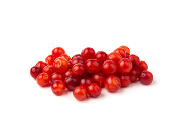 Nanking or felted cherry fruits, isolated on  white background