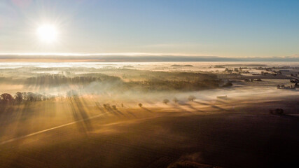 Foggy morning in Denmark