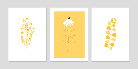 Floral poster set in yellow with branches and a flower on a white and yellow background in a minimalist style. Bright vector illustrations. Great for posters, postcards, and covers.
