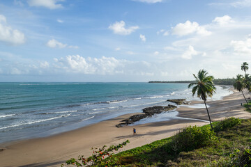 Beaches of Brazil - Peroba Beach, Maragogi - Alagoas State