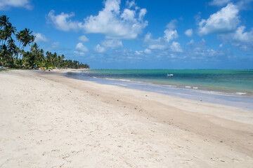 Fototapeta na wymiar Beaches of Brazil - Peroba Beach, Maragogi - Alagoas State