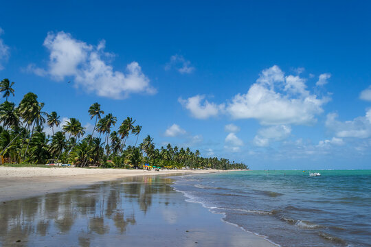 Beaches of Brazil - Peroba Beach, Maragogi - Alagoas State