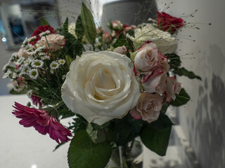 CUT FLOWERS - GET WELL SOON 