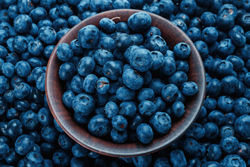 Fresh blueberry background.
