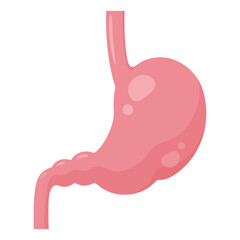 Obraz premium 胃のイラスト