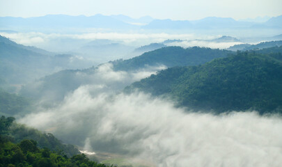 nature fog with soft focus in morning time 