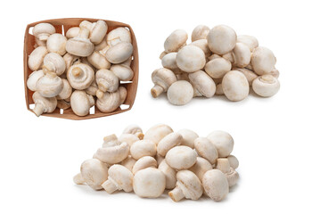 Champignon mushroom isolated on white background.