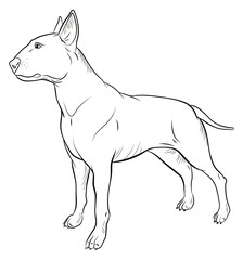 Animals, our faithful friends. Black and white image of a dog, coloring book for children.