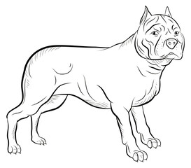 Animals, our faithful friends. Black and white image of a dog, coloring book for children.